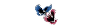 American National
